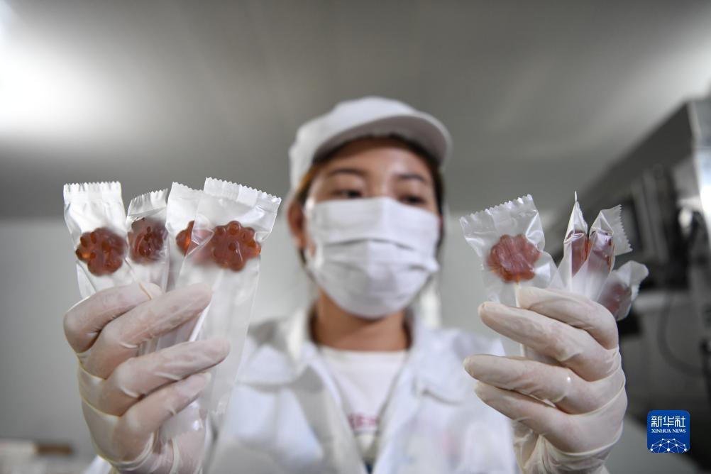 最新云顶网址